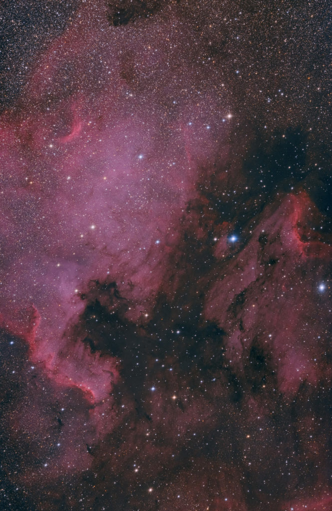NGC7000 aufgenommen mit RASA 11 - Christoph Kaltseis