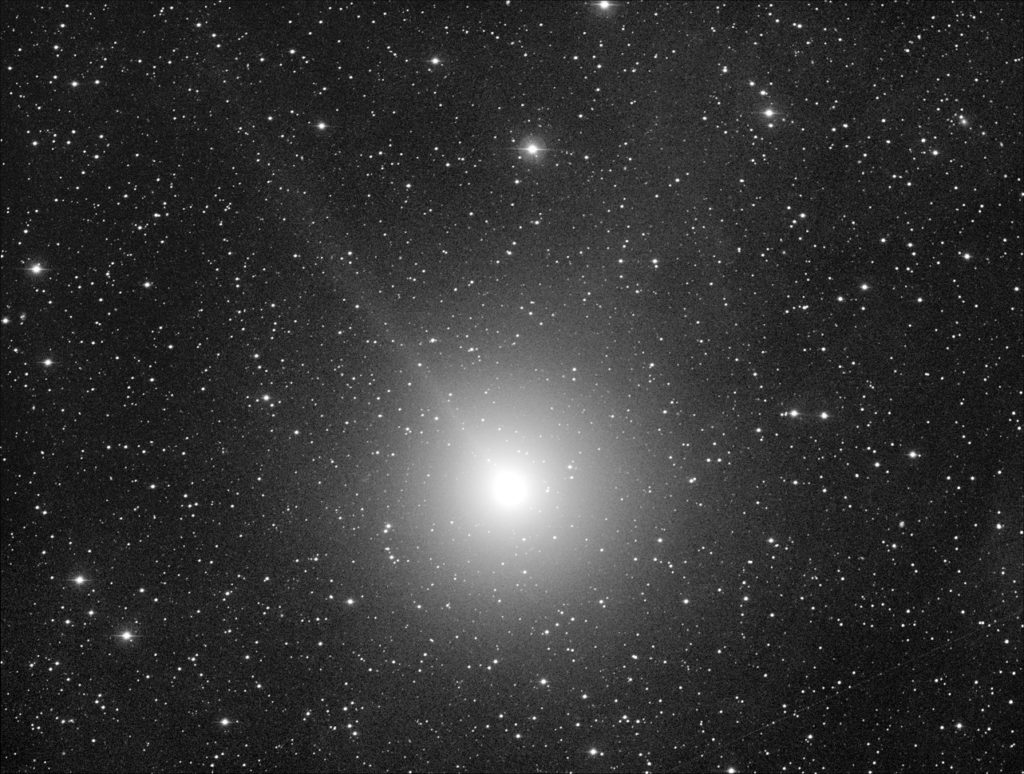 Komet 46P/Wirtanen aufgenommen mit Celestron RASA 8" - Michael Jäger