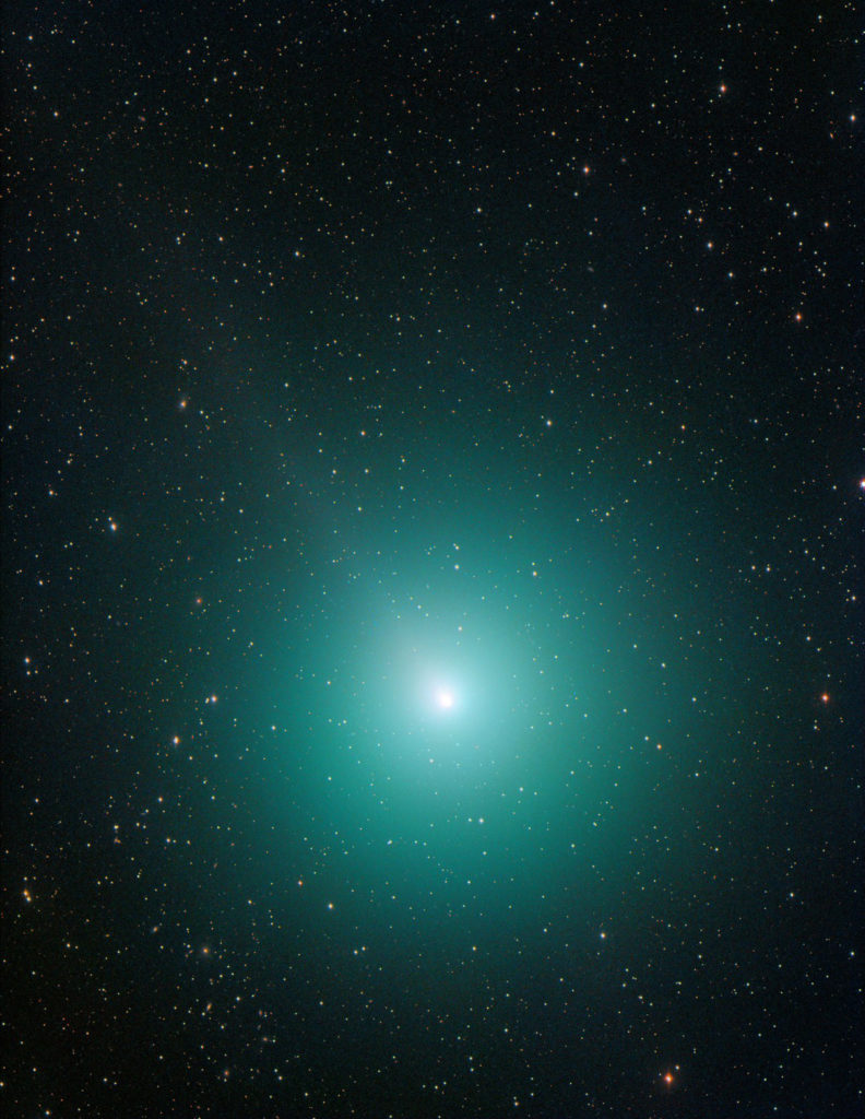 Komet 46P/Wirtanen aufgenommen mit Celestron RASA 8" - Michael Jäger
