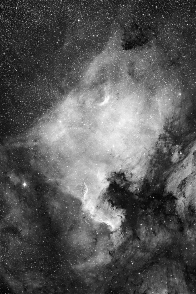 NGC 7000 aufgenommen mit Celestron RASA 8" - Michael Jäger
